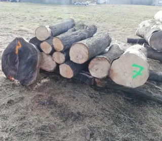 5496e60b9ddb8edbe2e3a72e6cb53984