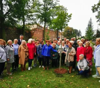 56e438e38df1bff4ffed5f15d3697ac4