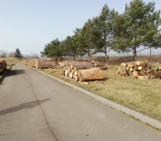 5bc698c3d13af0b568478920ab470e0c