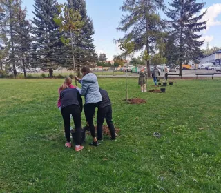 5fd5b599c8bb3c9bab8b4a4c6abfcdc2