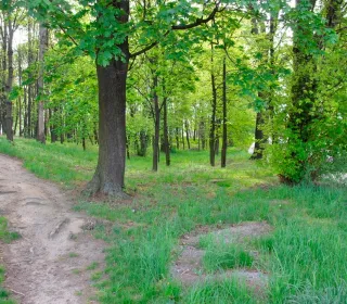IMG 20200507 08364
