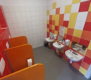 70847924 1236344883215494 2232923209081028608 