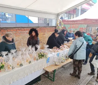 68dddeaf0ed9a414766d942ee577e371