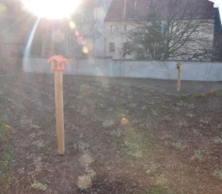  ul. Aliantów