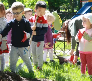 IMG 337