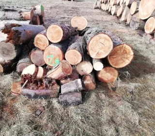 6a68edf356021f0b29f2ea06b913ee17