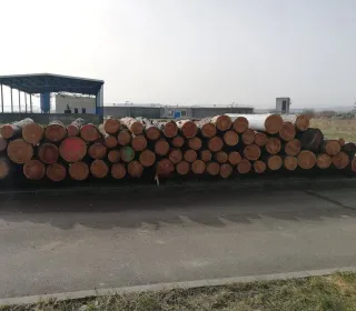 6a8bbdee24a525890b2db1315ce9ce8a