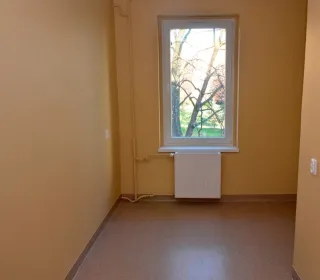  DSC597