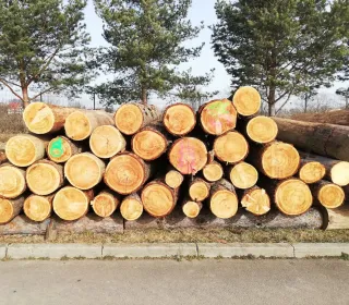 7f45c7a313b42f0e245de1c99723291a