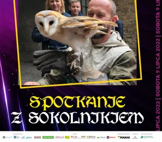 sensoplastyk