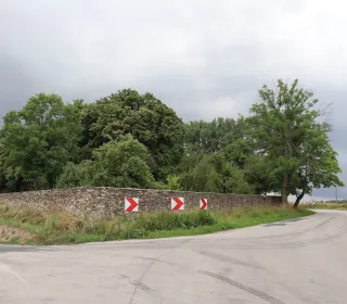 IMG 069