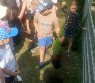 8aec00525ae3d71bb90120bdc4117b57