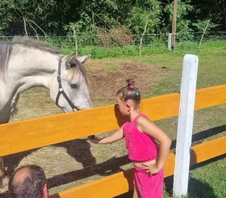 WYCIECZKA DO GRODU RYCERSKIEG