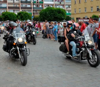  DSC398