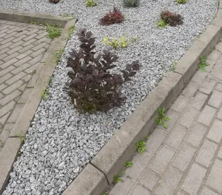 94645628bb0b3cf96e5810bad63b07c1