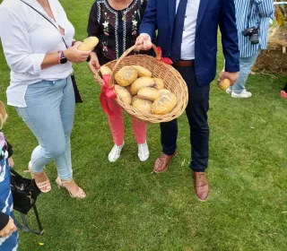 970aa36eee26c227021f046776e7780c