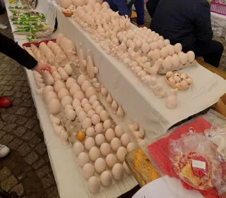 433423016 964798315208495 2187763262993567921 