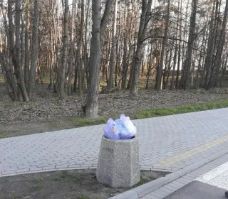 Resized 20200402 073000 9655