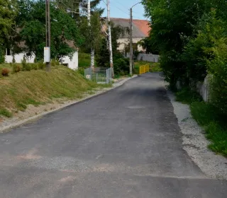  DSC350