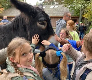 Zdjecie nr 23 ZOO Wrocła