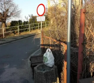 Resized 20200402 071833 6434