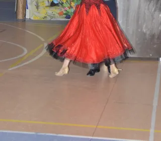  DSC421