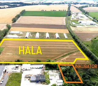 hala wsse i inkubator