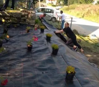 a34c77df54849bf7a373b2444530999e