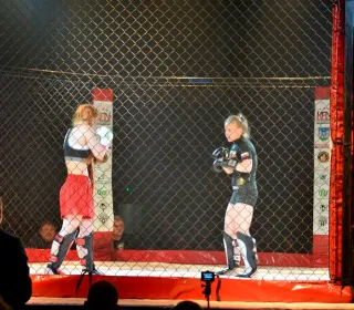  DSC713