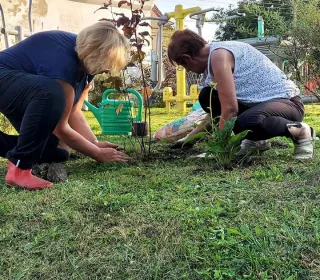 a6e8bb0e6a961fdb43f9b6cfcf50f071