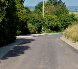  DSC351
