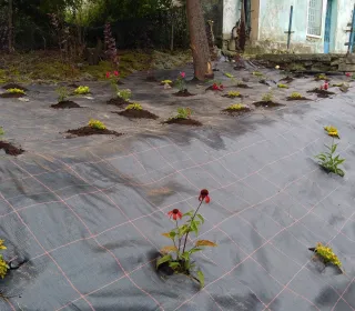 a7fe46e1ebf3879ad44e56647e2d550d