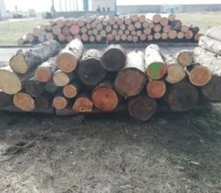 ad70bafc6b27404a8c3dd42e2454f3f9