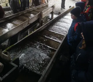 af5f1cc15077081645594e28cb5dd23d