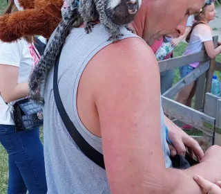 350267786 154770330815086 3157908497663717334 