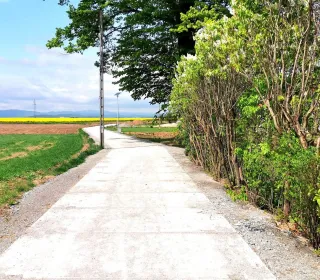 b09d2125a69ef64786076d2b7cffd412