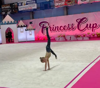 386884753 1331615340827500 8015864964650533643 