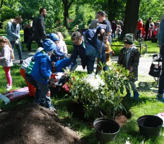 IMG 341