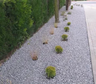 247122475 4683277115065042 5400805769532126564 n (002