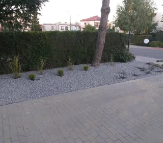 247855988 933302793933013 2901763227160841935 n (002