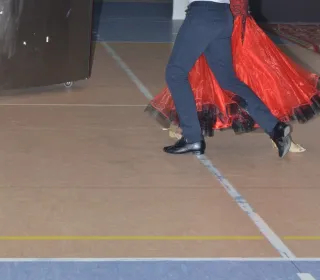  DSC420