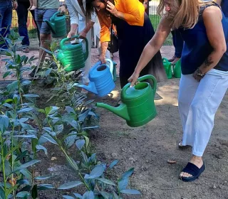 be7e811bbc69b647981a7469814bc8ff