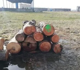 c1c8cb24f0d165ade69667ac5c8de58e