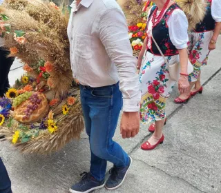 456566827 1012694217004440 314745109783525608 