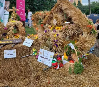 455048182 1306504230315380 1258474334723047812 