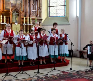  DSC310