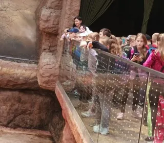 ZOO2 (002