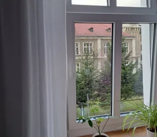 IMG 20230119 09401