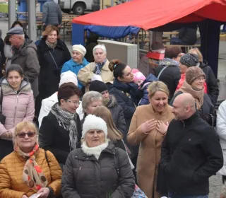  DSC537