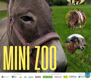 df625a15766964a3692787a97cedd962